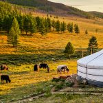 The Best Time to Travel to Mongolia