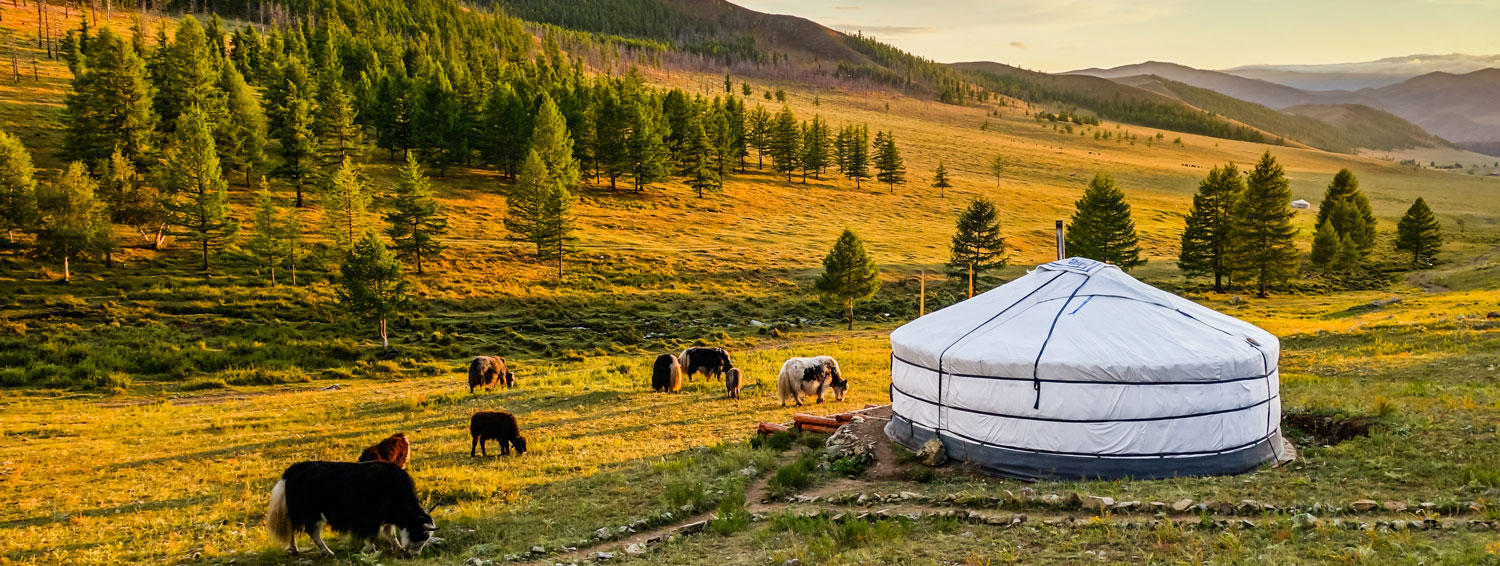 The Best Time to Travel to Mongolia
