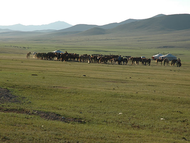 Hustai National Park