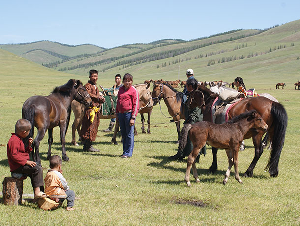 Horse riding in terelj national park